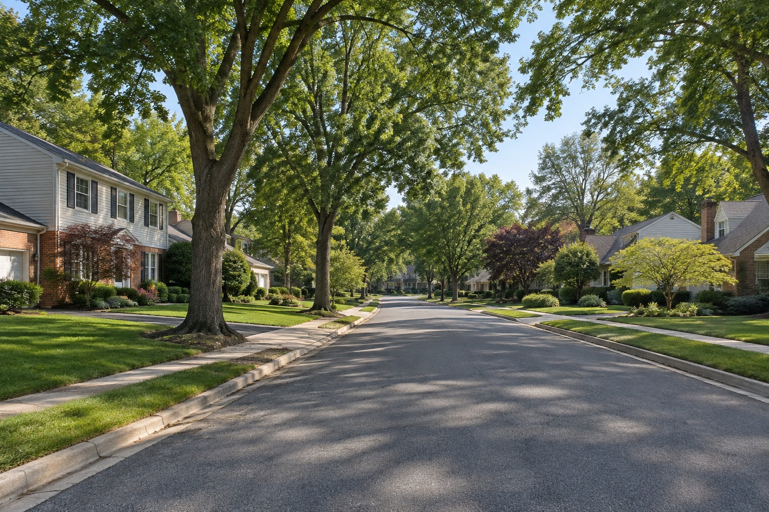 North Potomac